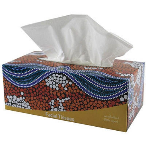Picture of Cultural Choice 2-PLY Facial Tissues 200 Sheets