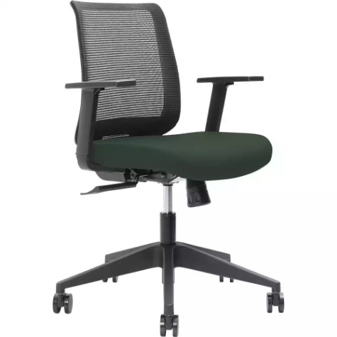 Picture of BRINDIS TASK CHAIR LOW MESH BACK NYLON BASE ARMS FOREST