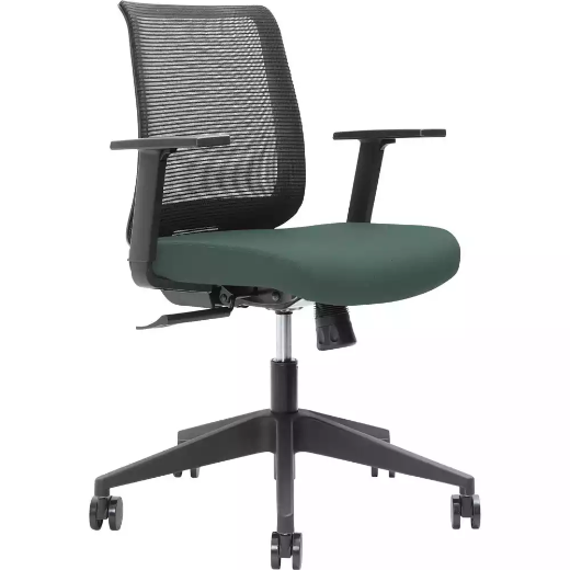 Picture of BRINDIS TASK CHAIR LOW MESH BACK NYLON BASE ARMS TEAL