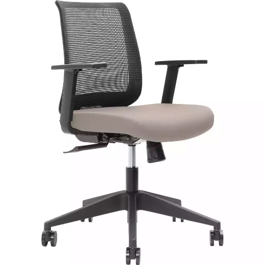 Picture of BRINDIS TASK CHAIR LOW MESH BACK NYLON BASE ARMS PETAL