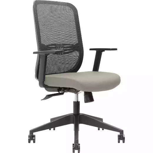 Picture of BRINDIS TASK CHAIR HIGH MESH BACK NYLON BASE ARMS DRIFTWOOD