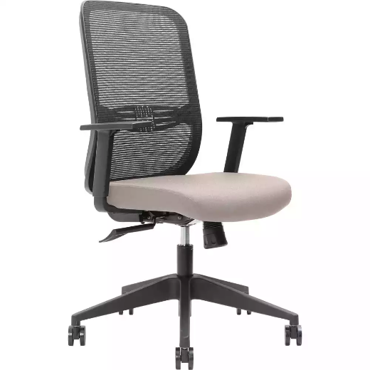 Picture of BRINDIS TASK CHAIR HIGH MESH BACK NYLON BASE ARMS PETAL