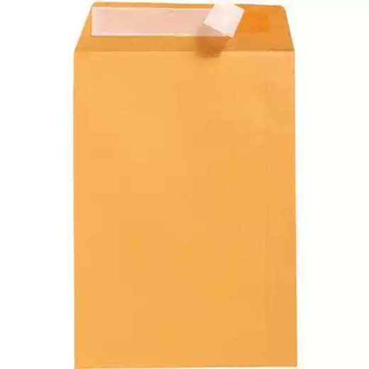 Picture of CUMBERLAND C3 ENVELOPES POCKET PLAINFACE STRIP SEAL 100GSM 458 X 324MM GOLD BOX 250