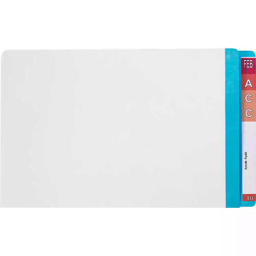 Picture of AVERY 42436 LATERAL FILE WITH LIGHT BLUE TAB MYLAR FOOLSCAP WHITE BOX 100