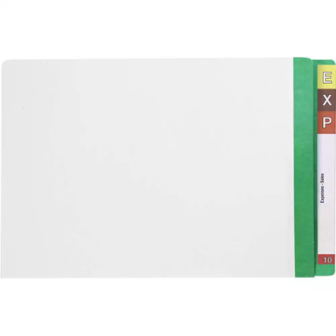 Picture of AVERY 42534 LATERAL FILE WHITE WITH MYLAR TAB LIGHT GREEN BOX 100