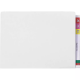Picture of AVERY 46703 LATERAL FILE EXTRA HEAVY WEIGHT A4 WHITE BOX 100