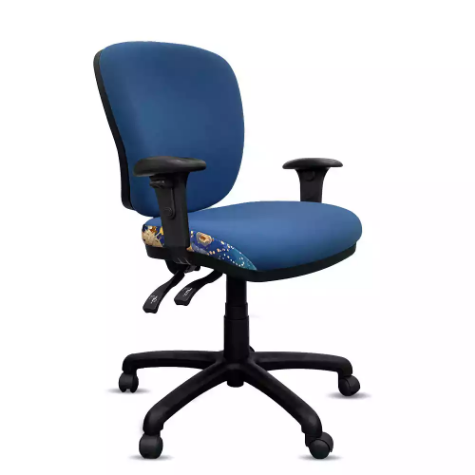 Picture of ORANGE DUST SPECTRUM ALICE OFFICE CHAIR WITH ARMS MEDIUM BACK 510 X 490 X 880MM OCEAN BLUE