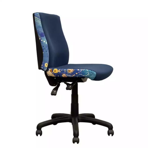 Picture of ORANGE DUST SPECTRUM KATHERINE OFFICE CHAIR MEDIUM BACK 510 X 450 X 910MM OCEAN BLUE