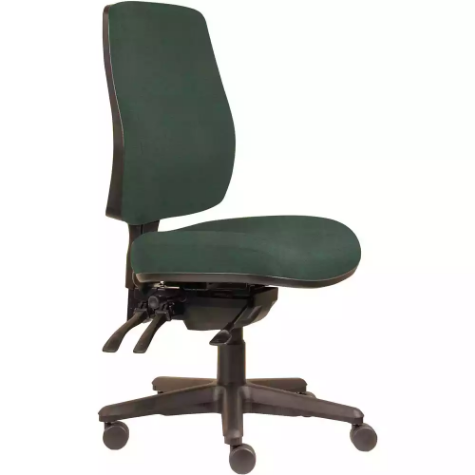 Picture of ERGOSELECT SPARK ERGONOMIC CHAIR HIGH BACK 3 LEVER SEAT SLIDE BLACK NYLON BASE FOREST