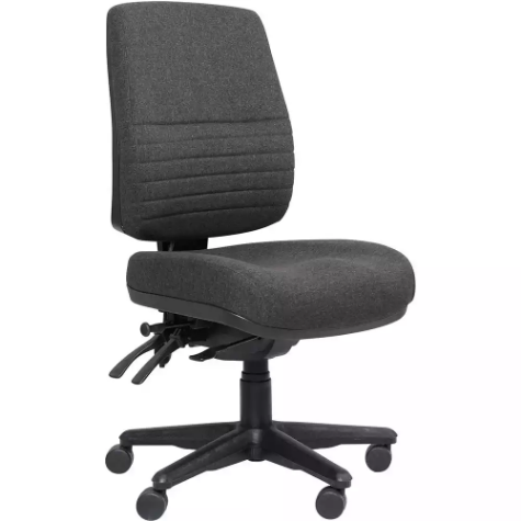 Picture of ERGOSELECT SPARK XL POSTURESOFT ERGONOMIC CHAIR HIGH BACK XL SEAT GEL LUMBAR BLACK NYLON BASE EBONY