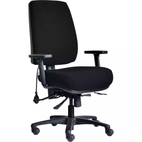 Picture of DAL ERGOSELECT STRIDE CHAIR HIGH BACK BLACK NYLON BASE ADJUSTABLE ARMS MEDIUM SEAT FABRIC BLACK