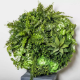 Picture of PLANT IMAGE VERTICAL WALL GARDEN ROUND MEDIUM