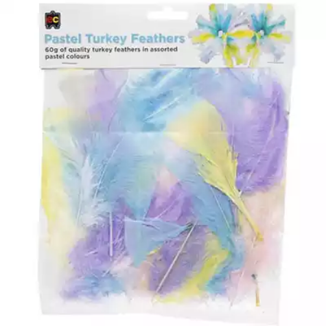 Picture of EDUCATIONAL COLOURS TURKEY FEATHERS 60G PASTEL ASSORTED