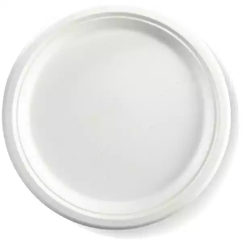 Picture of BIOPAK BIOCANE ROUND PLATE 250MM WHITE PACK 125