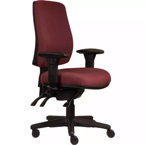 Picture of ERGOSELECT SPARK ERGONOMIC CHAIR HIGH BACK 3 LEVER SEAT SLIDE BLACK NYLON BASE ADJUSTABLE ARMS POMEGRANATE