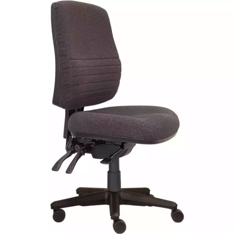 Picture of ERGOSELECT SPARK POSTURESOFT ERGONOMIC CHAIR HIGH BACK 3 LEVER SEAT SLIDE BLACK NYLON BASE EBONY