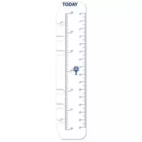 Picture of DEBDEN DAYPLANNER PR2008 PERSONAL EDITION REFILL TODAY RULERS SIZE PACK 2