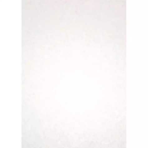 Picture of RAINBOW PARCHMENT PAPER A4 90GSM WHITE PACK 100