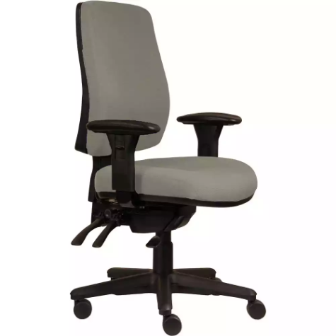 Picture of ERGOSELECT SPARK ERGONOMIC CHAIR HIGH BACK 3 LEVER SEAT SLIDE BLACK NYLON BASE ADJUSTABLE ARMS DRIFTWOOD