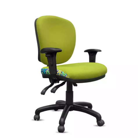 Picture of ORANGE DUST SPECTRUM ALICE OFFICE CHAIR WITH ARMS MEDIUM BACK 510 X 490 X 880MM EUCALYPTUS GREEN