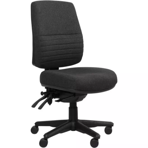 Picture of ERGOSELECT SPARK POSTURESOFT ERGONOMIC CHAIR HIGH BACK BLACK NYLON BASE EBONY