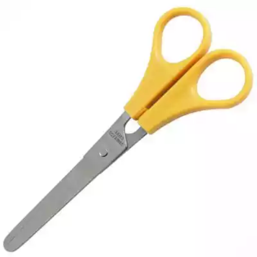 Picture for category Scissors