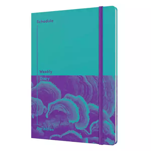 Picture of JUMBLE AND CO SCHEDULE SCRIBBLES UNDATED WTV A5 TEAL